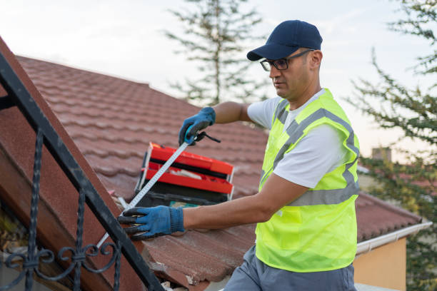 Best Batt and Roll Insulation  in Bellair Meadowbrook Terrace, FL